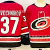 Ice Hockey Jersey Hurricane Team Embroidered 20 30 Sports Uniform Training Top