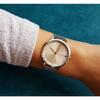 Zegarek Damski Tommy Hilfiger 1782151 Pippa + Box