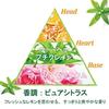 LOCCITANE Verbena Shower Gel 250mL Body Soap