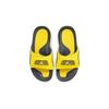 Air Jordan Hydro IV Retro BG Lightning DN4239-701