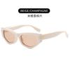 Vintage Cat Eye Sunglasses for Women Man Retro Fashion Cat Eye Sun Glasses Anti-UV Travel Eyewear UV400 Shades