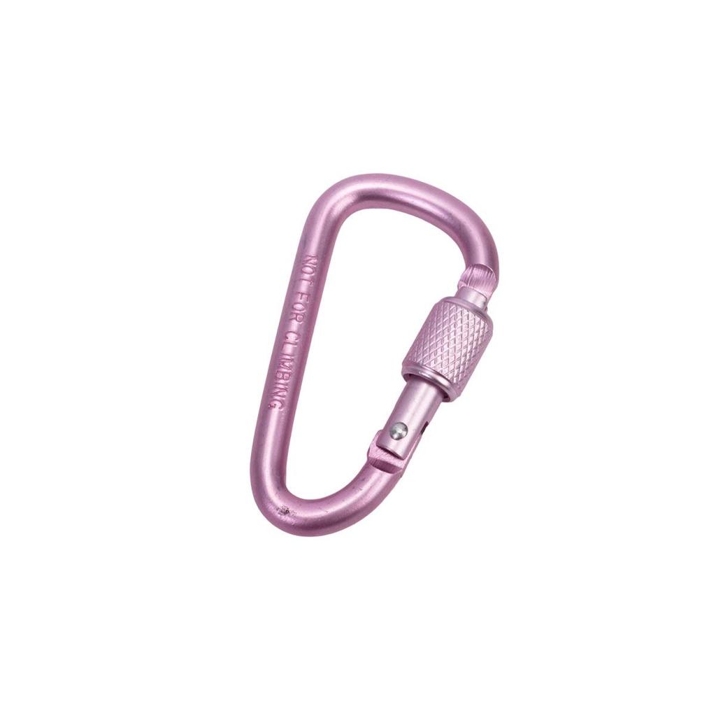 D-Shaped Locking Aluminum Carabiner No. 6 with Keyring for Backpack and Rope