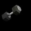Longchan Rubber-Coated Hex Dumbbell