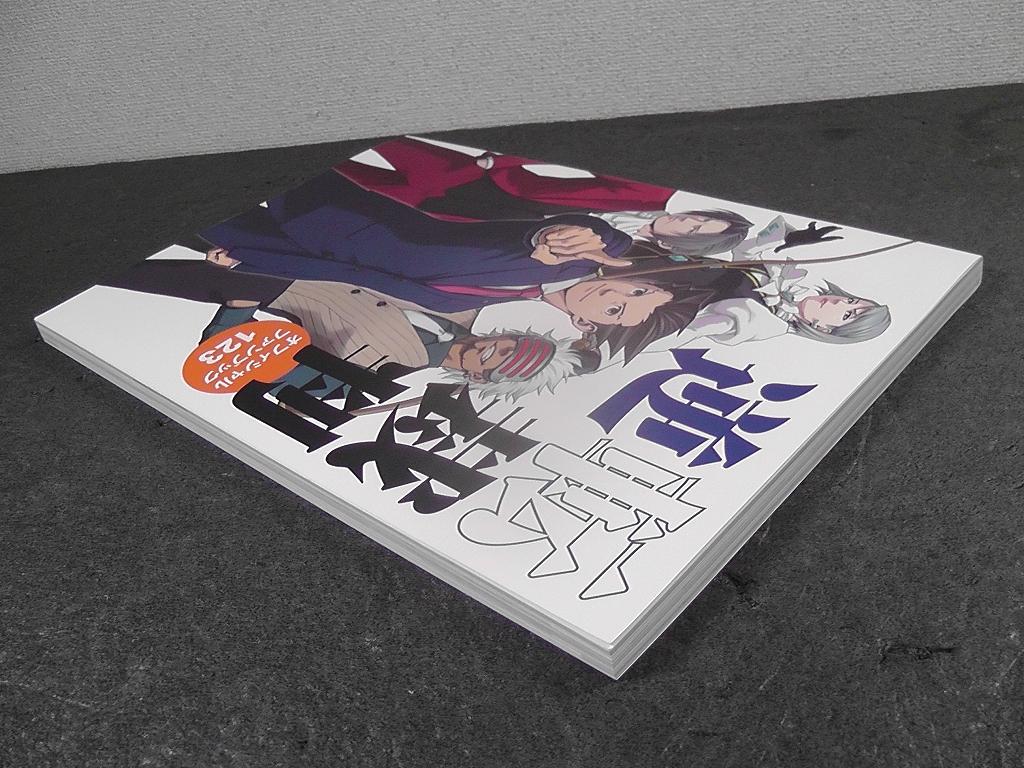 [USED] Ace Attorney Official Fan Book 123 E-Capcom Limited Purchase Bonus Booklet