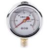 Pressure Gauge Class 1.6 Anti Seismic High Accuracy Industrial Pressure Dial Tester for Electricity Petroleum Chemical