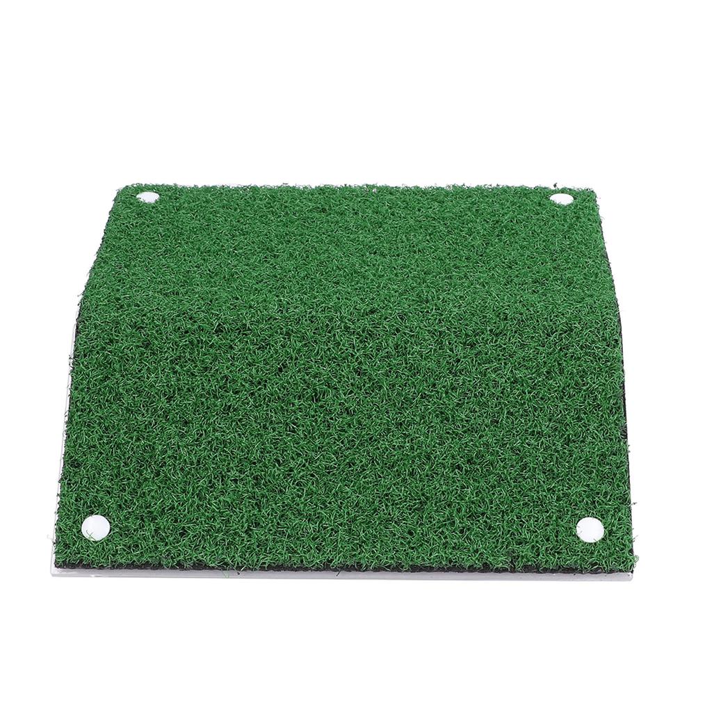 Fish Tank Tortoise Terrace Acrylic Simulation Green Grass Skin Amphibious Tank Ladder Crawling