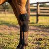 Fascia di Recupero per Ginocchio di Cavallo Gamba Mirata Sicura per Cavalli
