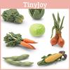 Realistic 7 Piece Vegetable Set Model Includes Spinach Carrot Corn Cabbage Onion Edamame Crafted From Durable Pvc