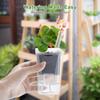 15 pots d'arrosage automatique pour plantes Mini pots à semis Pot de fleur en plastique translucide Pot de propagation de plantes avec réservoir