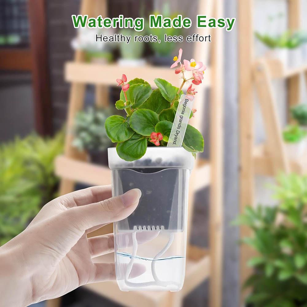 15 pots d'arrosage automatique pour plantes Mini pots à semis Pot de fleur en plastique translucide Pot de propagation de plantes avec réservoir