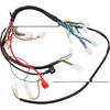 50-110CC ATV Quad Wiring Harness with Anti-theft Function