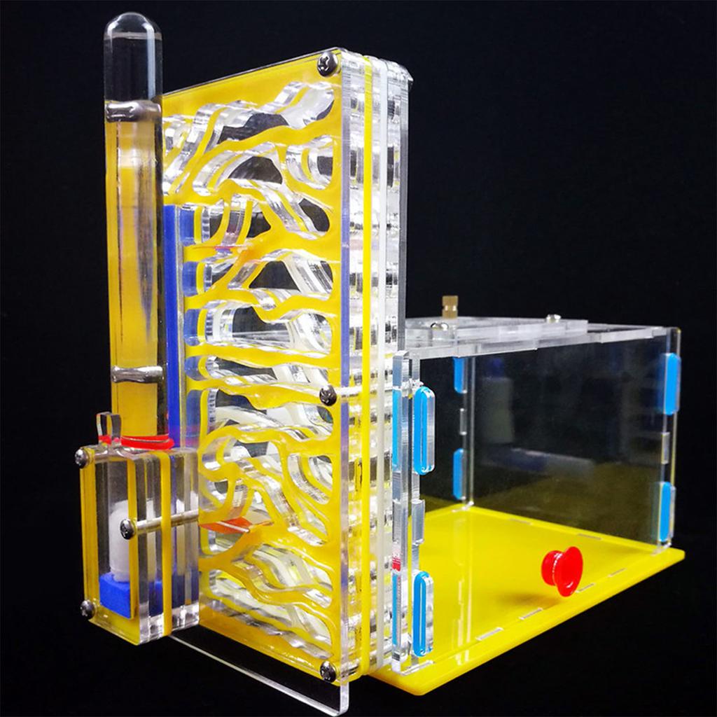 DIY T Design Futterbereich Acryl Farm Insektenvilla Mania Haus Ameisennest Geburtstagsgeschenk