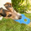 Portable Dog Molar Plaything Slipper Shaped Chew Resistant Pet Supply for Small Puppy Clean Teeth Daily Use Tpr Wear-Resistant