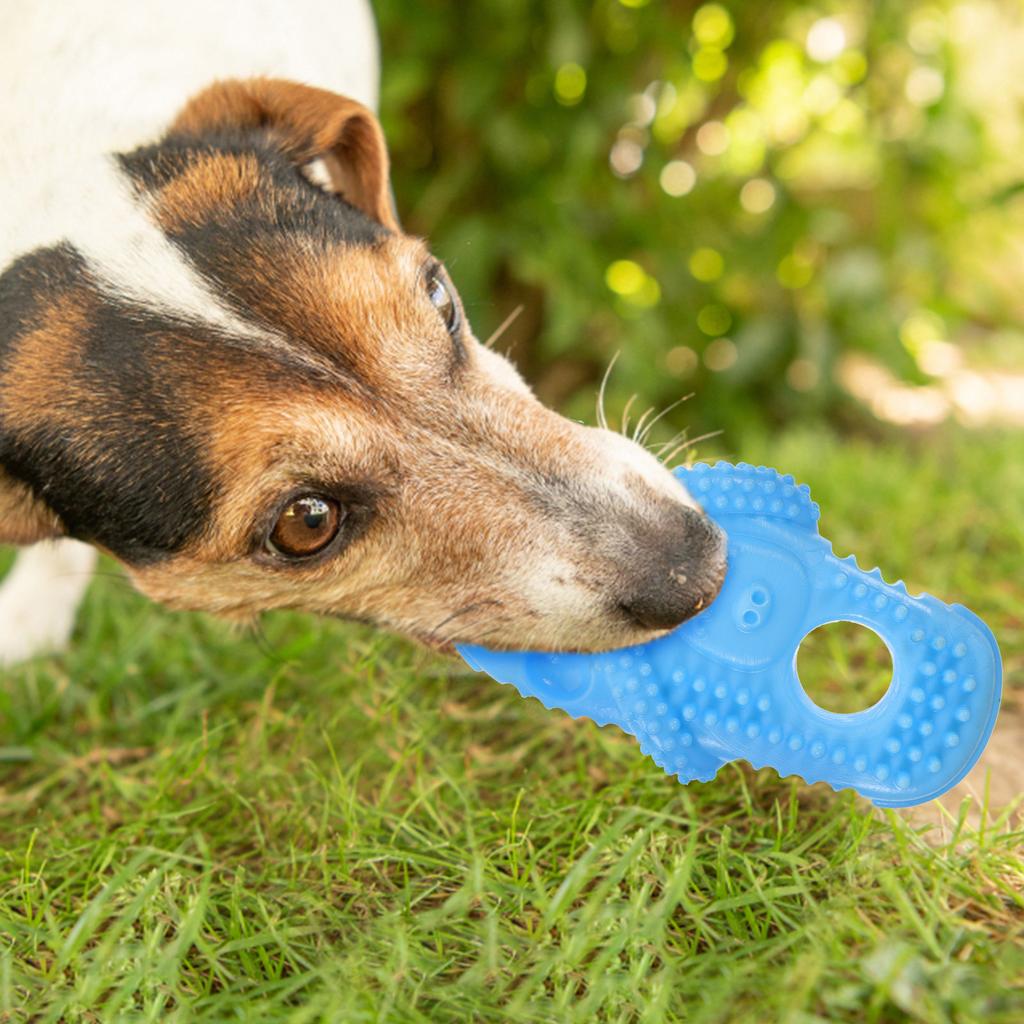 Portable Dog Molar Plaything Slipper Shaped Chew Resistant Pet Supply for Small Puppy Clean Teeth Daily Use Tpr Wear-Resistant
