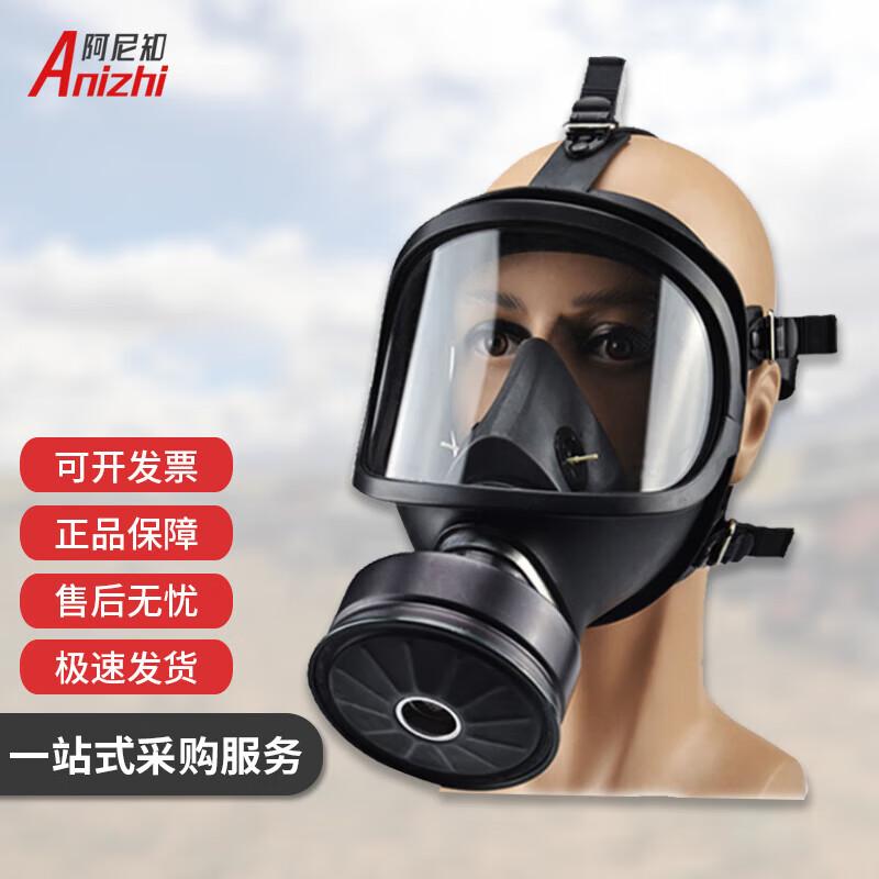 Anizhi MF14 Full Face Gas Mask