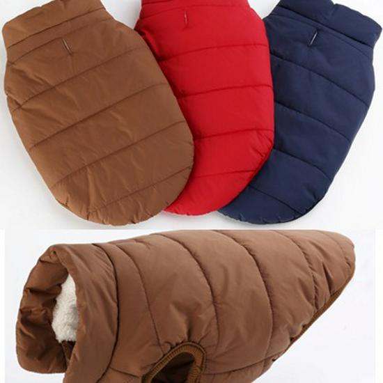 Thickened Cotton Snap Button Jacket for Dogs - Autumn/Winter Pet Apparel