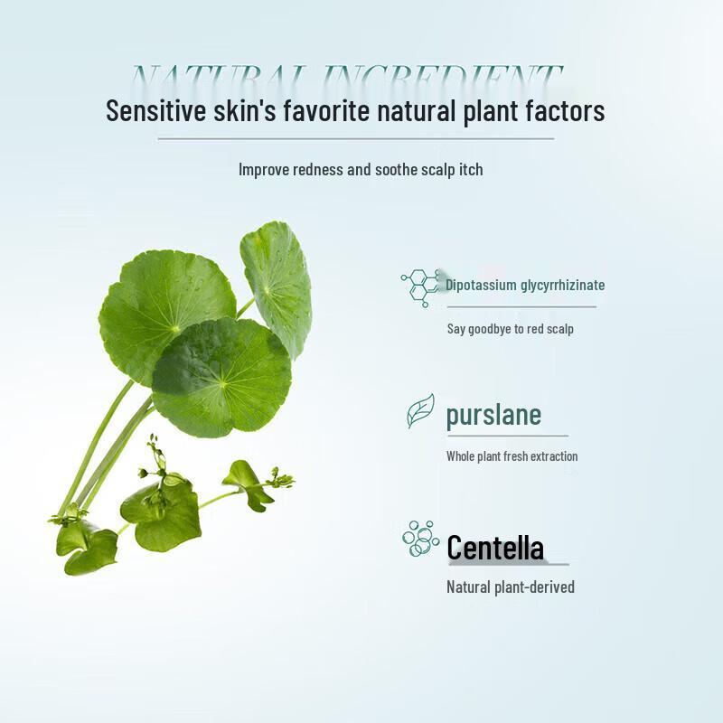 CHANDO Sensitive Scalp Purifying Essence Lotion