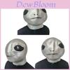 Platinum Son Latex Mask For Cosplay And Halloween Party Costume