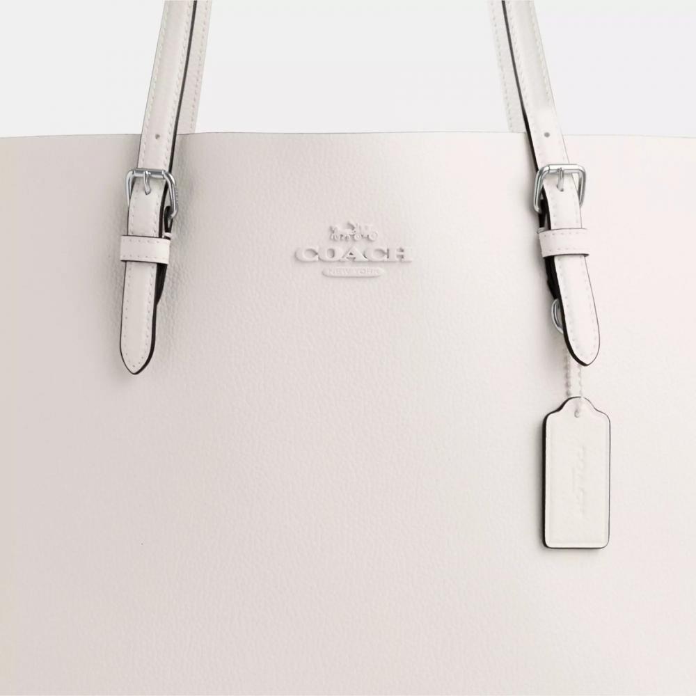 Coach Mollie Tote Bag Silver Chalk