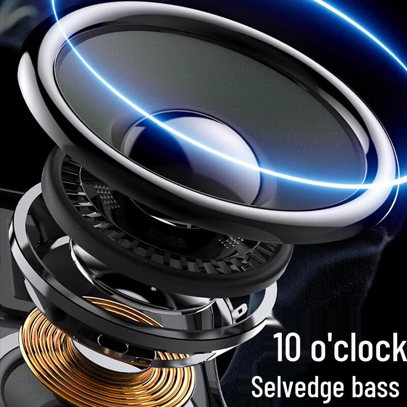 SAST KP10V 10-inch Professional Stage Speaker