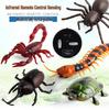 Infrared Remote Control Prank Toy: Cockroach, Spider, and Ant Simulation