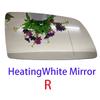 Rearview Mirrors Suitable For BMW 5 Series E60/E61 (03 - 09) And 6 Series E63/E64 (04 - 10) Equipped With Heating Function.