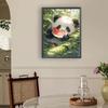 Panda Full DIY 5D Round Drill Gem Art Diamond Painting Kits for Adults/Beginners Gift Idea Home Decor Diamond Painting Gem Art