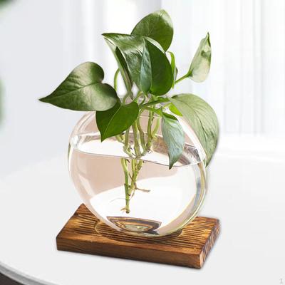 Blumenvase, Glaspflanzgefäß, Terrarium, Pflanzenvermehrungsstation mit Holzständer fürs Büro