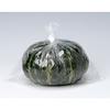 Sanipak Japan Large Storage Poly Bags, Size L, U-13