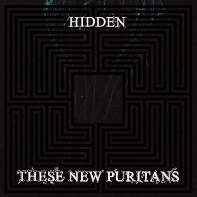 CD THESE NEW PURITANS  Hidden WIGCD241JHSE10 Hostess Enterta 2009 Japan ObiRock Used
