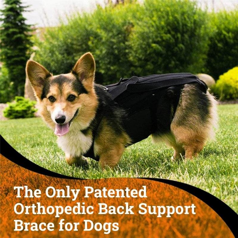 Comfortable Black Dog Back Support Vest Breathable Reusable Pet Orthopedic Support Brace Adjustable Dog Chest & Back Bracket Dog