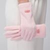 Temperament Women's Autumn/Winter Plush Gloves Warm and Cold proof with Velvet