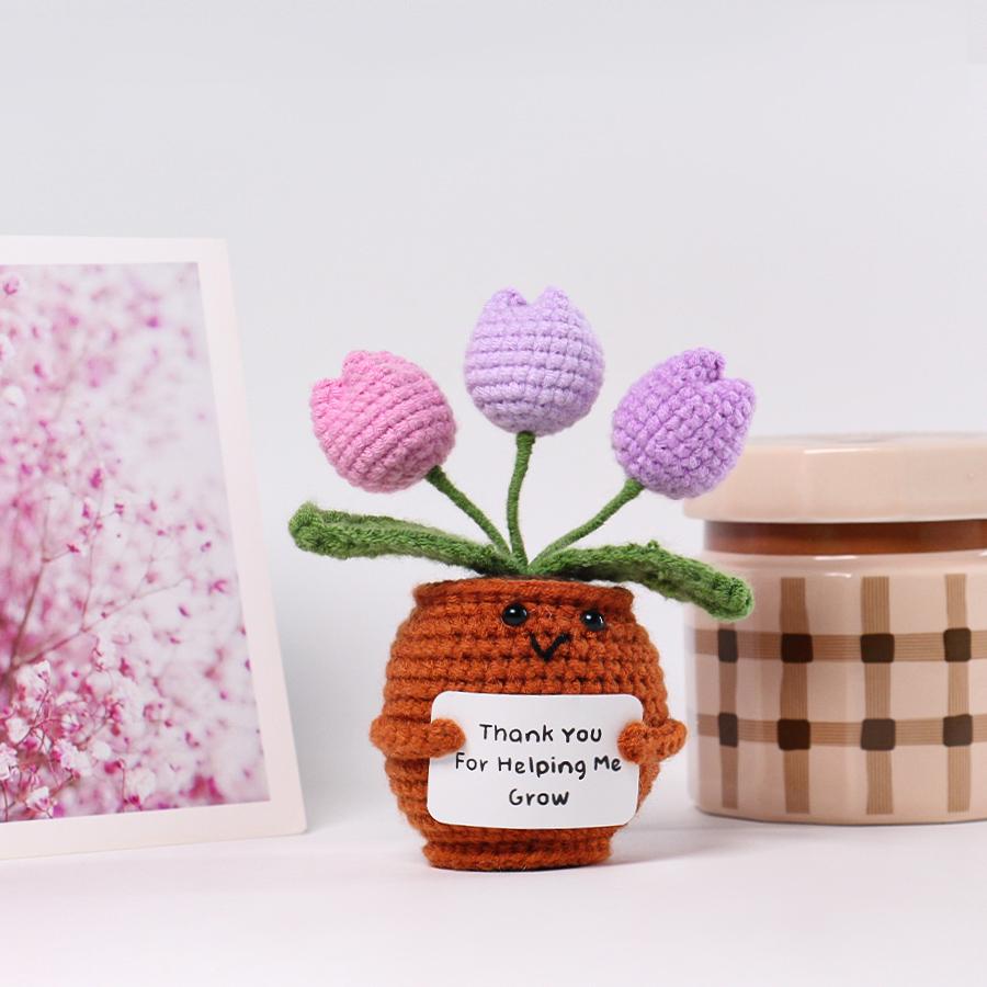 33 Styles Crochet potted tabletop Words of encouragement forget-me-not crochet orange convolia heart-warming ornament