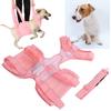 Dog Walking Aid Kit Auxiliary Collar Leash with Lifting Handle Pet Recovery Support for Old and