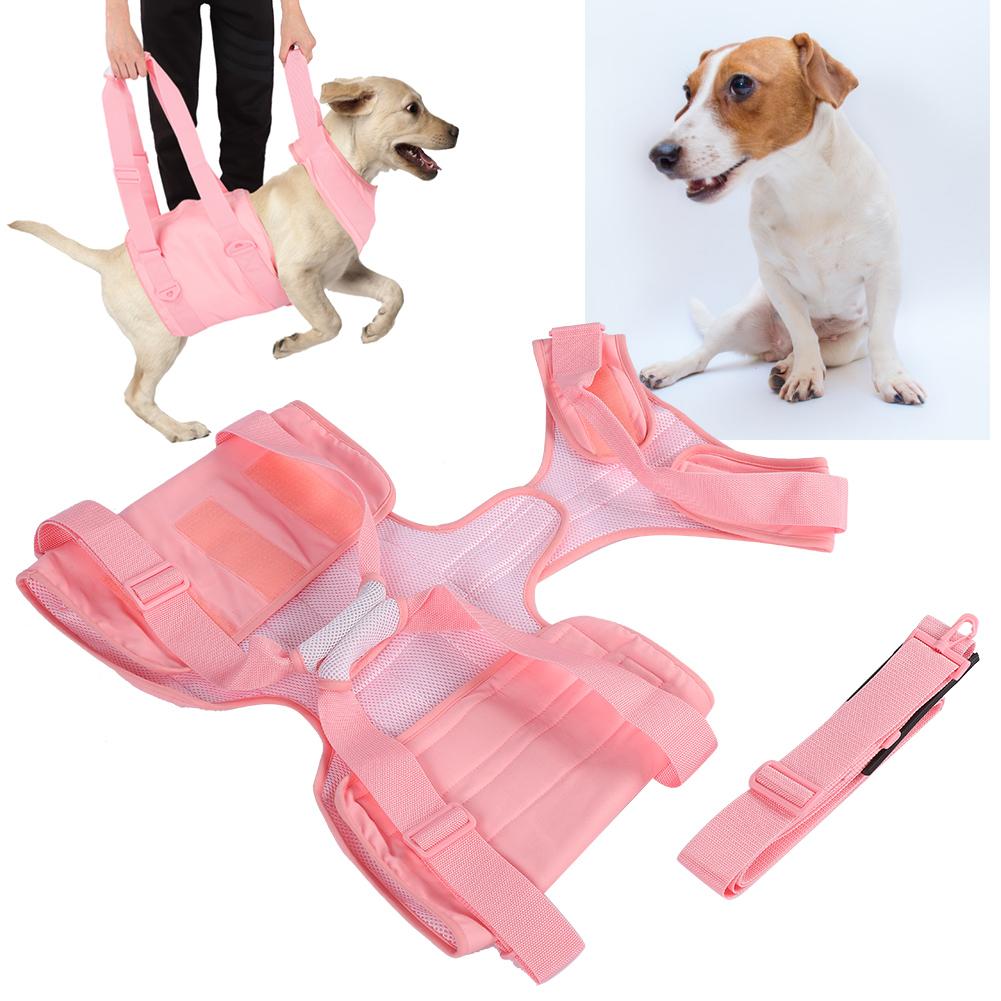 Dog Walking Aid Kit Auxiliary Collar Leash with Lifting Handle Pet Recovery Support for Old and