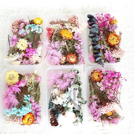 Dried Flowers Home Photography Props DIY Ornament Craft Specimen Accessories