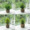 Creative Wooden Basin with Artificial Green Plant Bonsai Ornament for Display and Decoration.