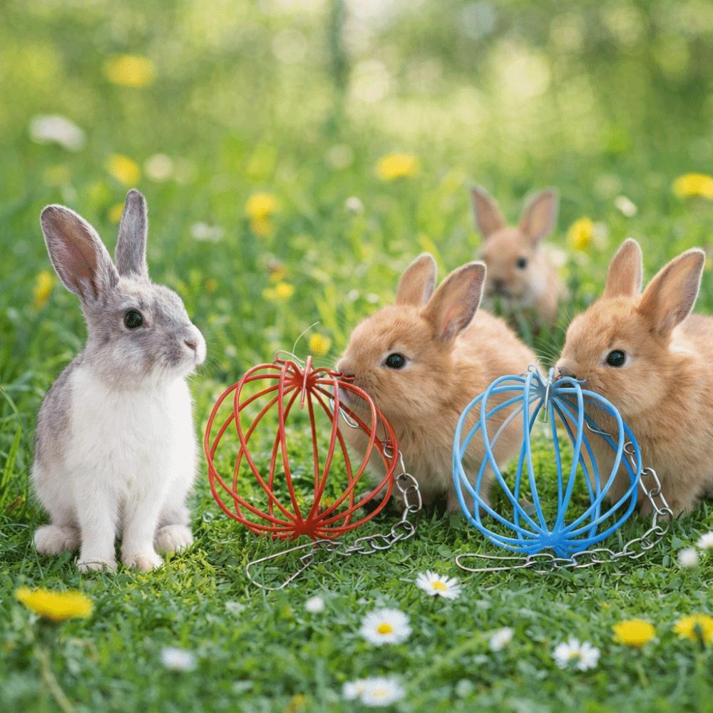 Round Rabbit Grass Feeder Wear-resistant Hay Feeder Ball Suspending Feeder For Small Pets