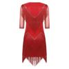 Ladies Glittery Sequin Dance Dress V Neck Half Sleeve Tiered Tassel Design Rhinestone Details Latin Cha Cha Tango Salsa Costume