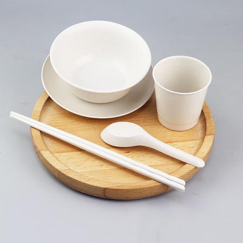 Paibei 10-Person 7-Piece Disposable Biodegradable Tableware Set