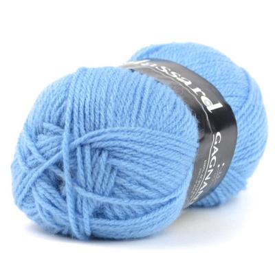 Plassard - Plassard Winning Wool 924 Blue