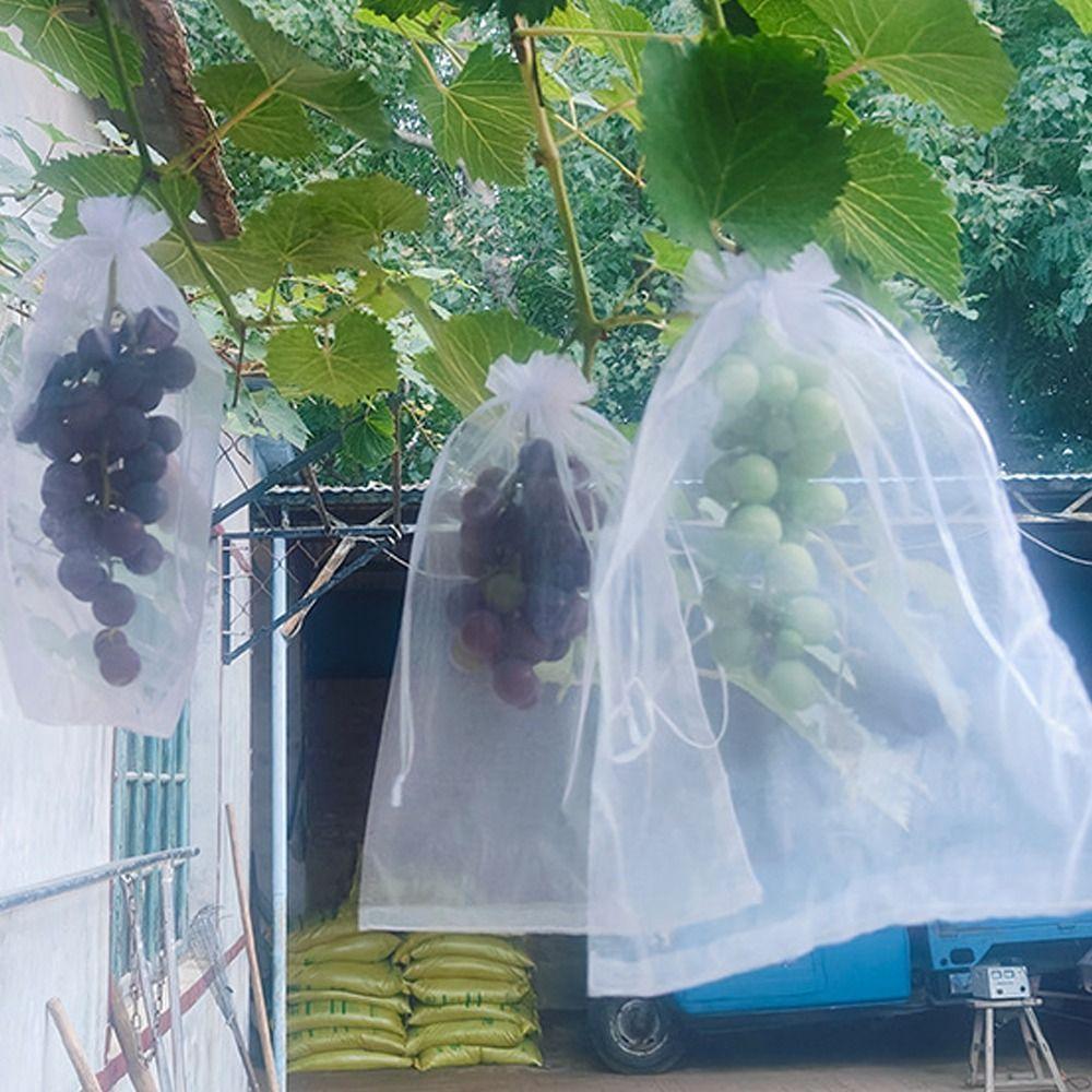100pcs White Grapes Fruit Grow Bags Breathable Grape Protection Cover Garden Tools