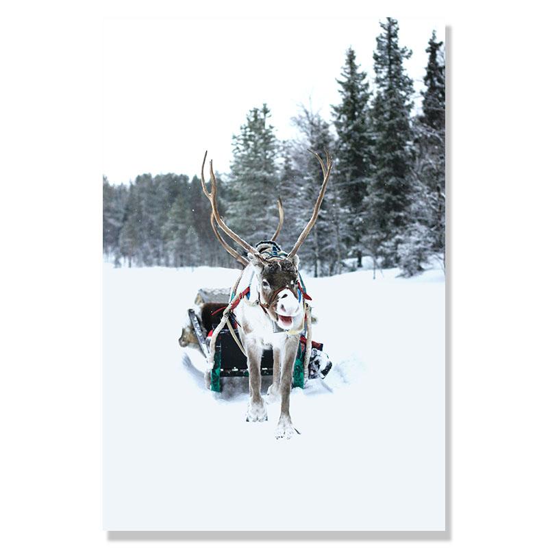 Vánoční dekorace Zimní sob Sova Sníh Les Fototapeta Nástěnná malba Severské umění Plakáty a grafiky Obývací pokoj Dekorativní fototapeta