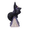 Nemesis Now Black Cat And Spellbook Collectable Figurine