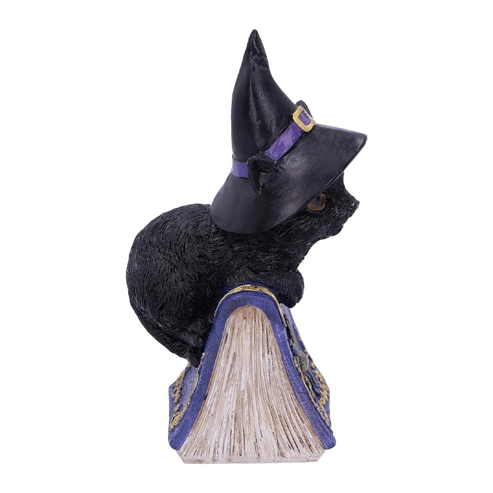 Nemesis Now Black Cat And Spellbook Collectable Figurine