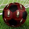 SIZE 5 Standard Liège Soccer Ball Colorful All Ages Machine Stitched PVC Competition Ready Durable High-Bounce