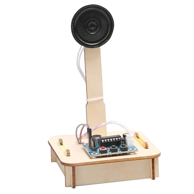 

Ученик Наука и технологии Мелкое изготовление своими руками Фонограф Детский забавный диктофон Научный эксперимент Игрушка древесина/чёрный