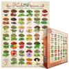 Puzzle Eurographics 1000 Pièces - Herbes Et Épices - Marque Eurographics - Pour Adultes - 1000 Pièces