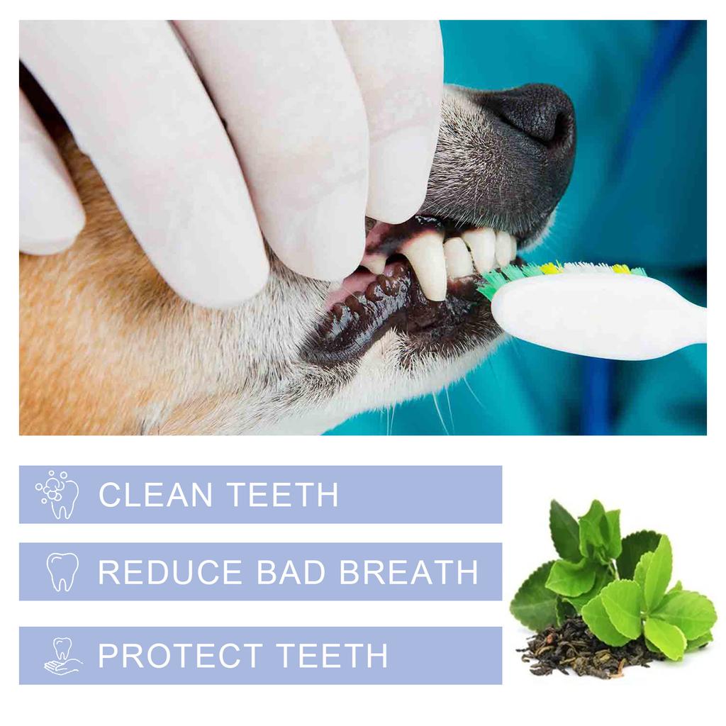 Yegbong Pet Cleaning Toothpaste Pet Cleaning Tartar Tooth Stain Repair Tooth Cleaning White Cat and Dog Oral Cleaning, Repair and Care