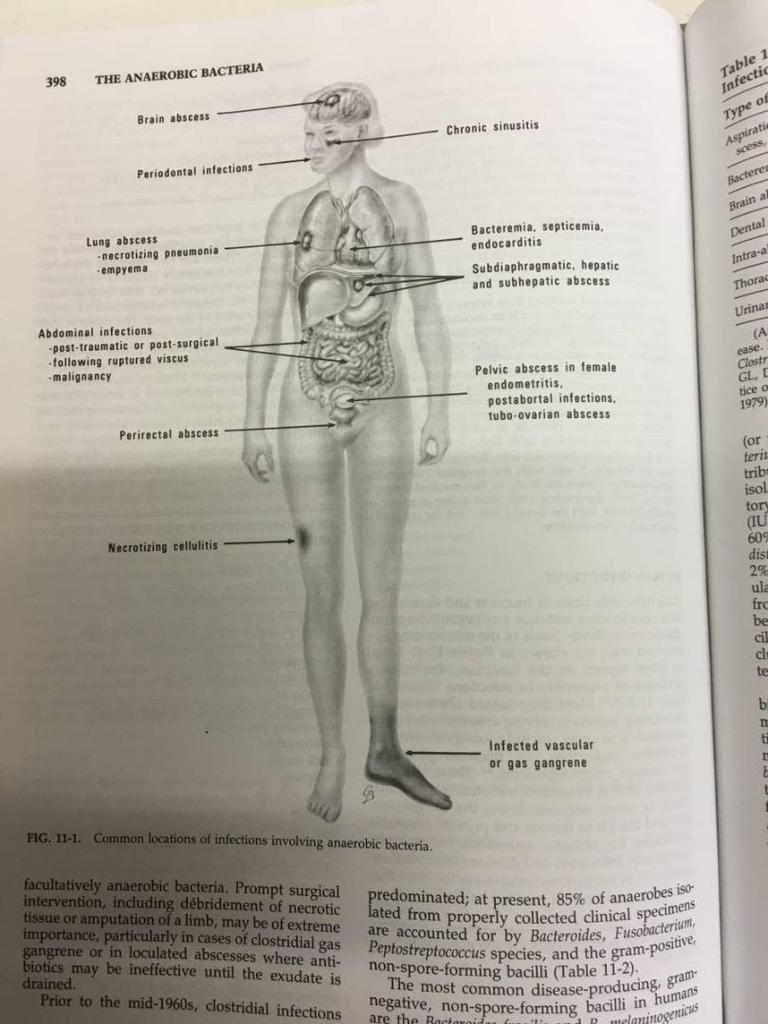 [USED] Color Atlas and Textbook of Diagnos Medical Books